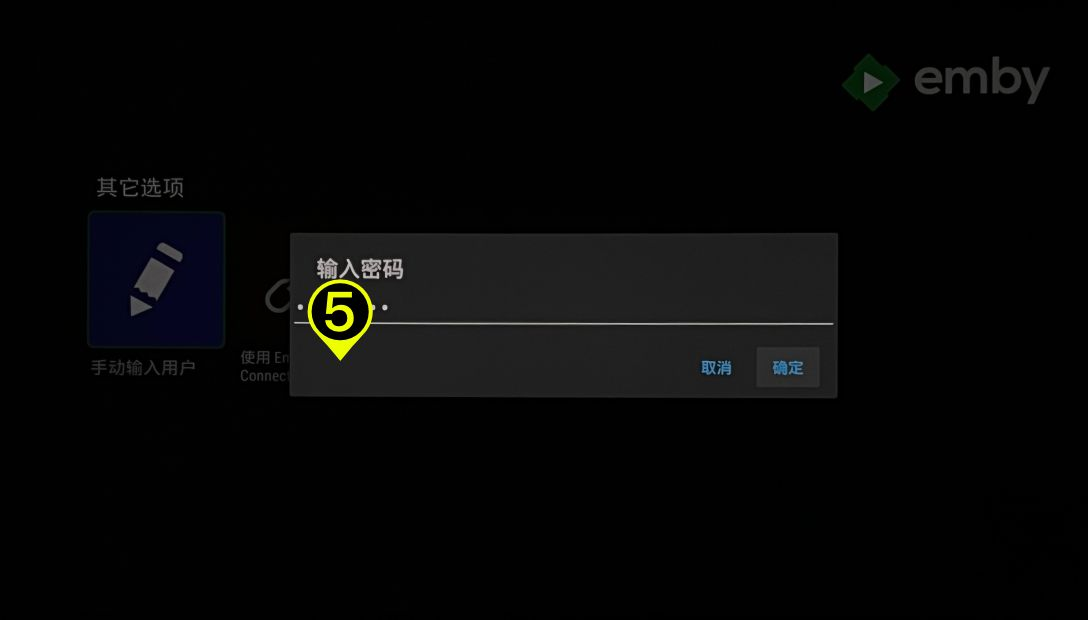Confirming the Emby server connection