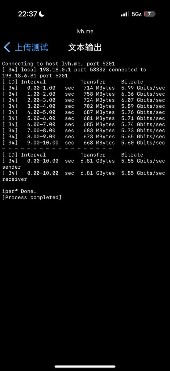 Additional alleged Shadow-TLS similarity