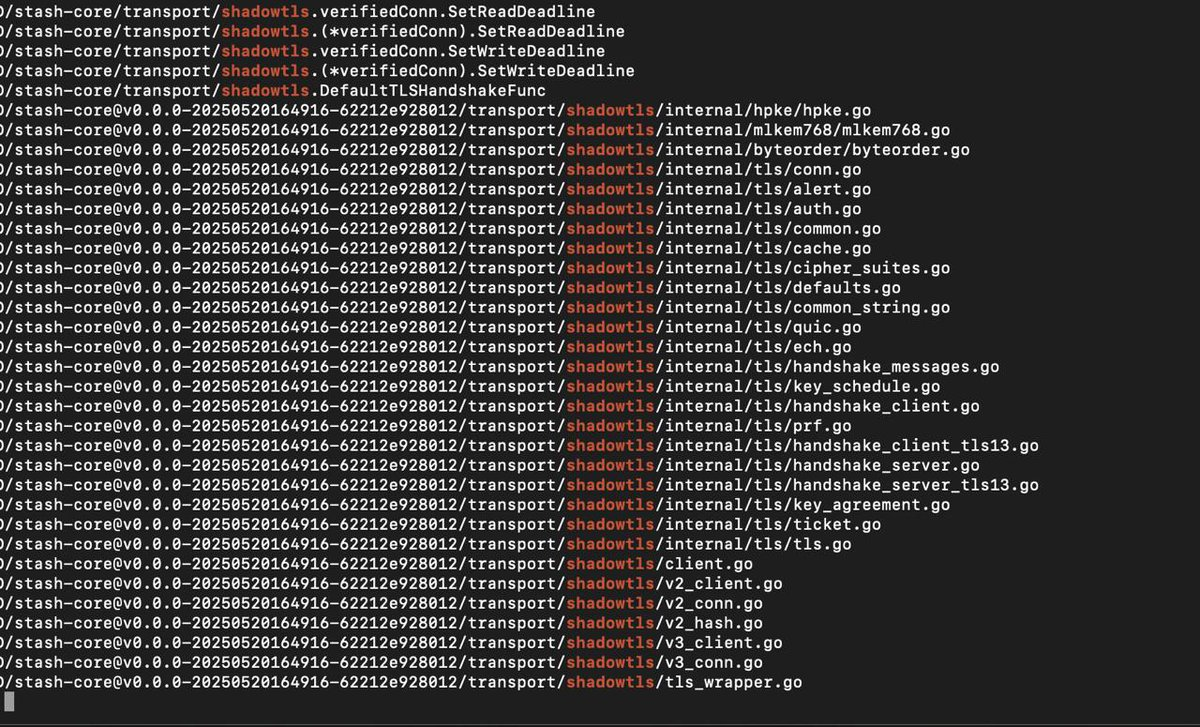 Alleged Stash and sing-box structural similarity